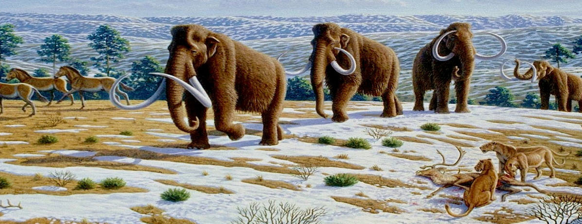 Si la desextinción funciona, animales con genes de mamuts podrían volver a poblar la tundra.