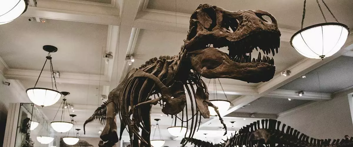 La muerte de los dinosaurios: así fueron sus primeras horas de agonía