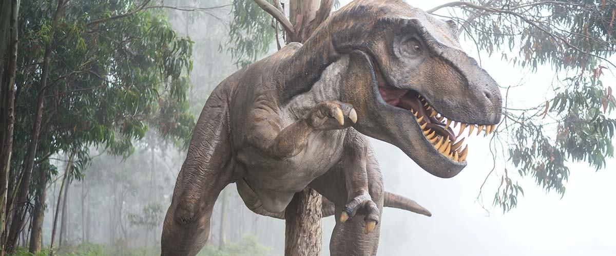 Los fósiles de dos Tyrannosaurus rex adolescentes permiten analizar cómo crecían.