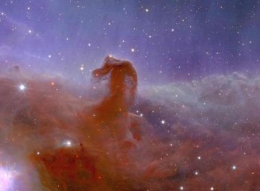 nebulosa cabeza caballo