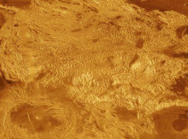 venus