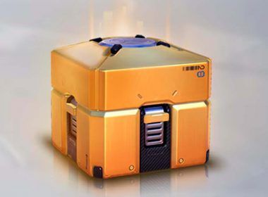 cajas botin