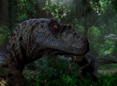 velociraptor