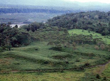 amazonas