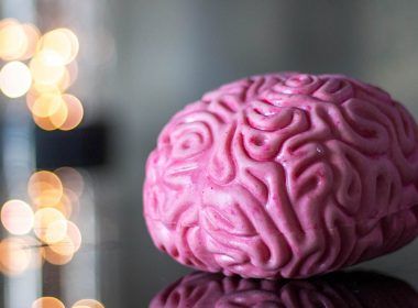 cerebro