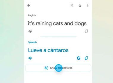 google translate