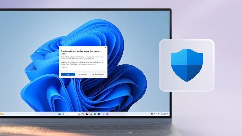 windows 11 portada