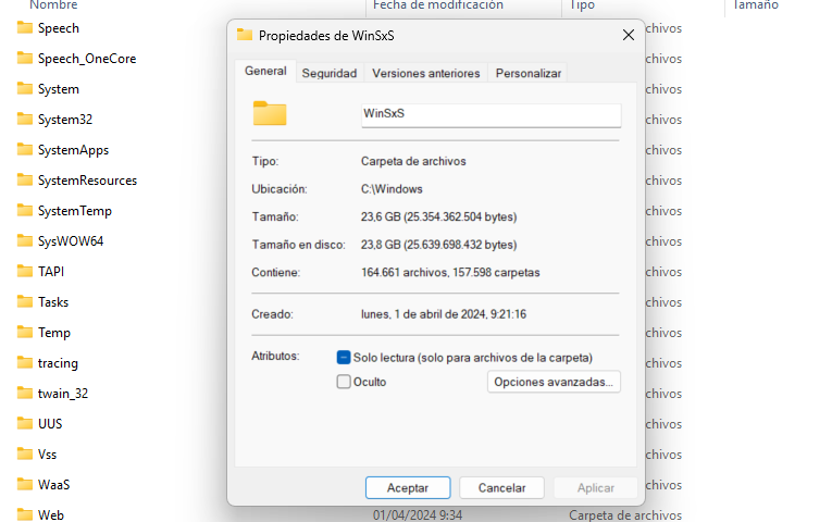 Ventana de propiedades del sistema mostrando el tamaño y ubicación de la carpeta WinSxS en el explorador de archivos.