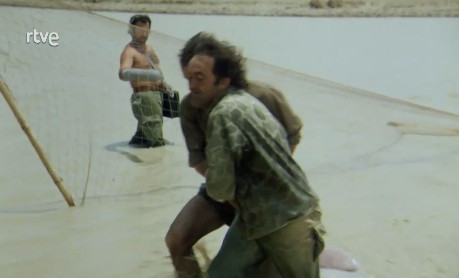 El hombre y la Tierra