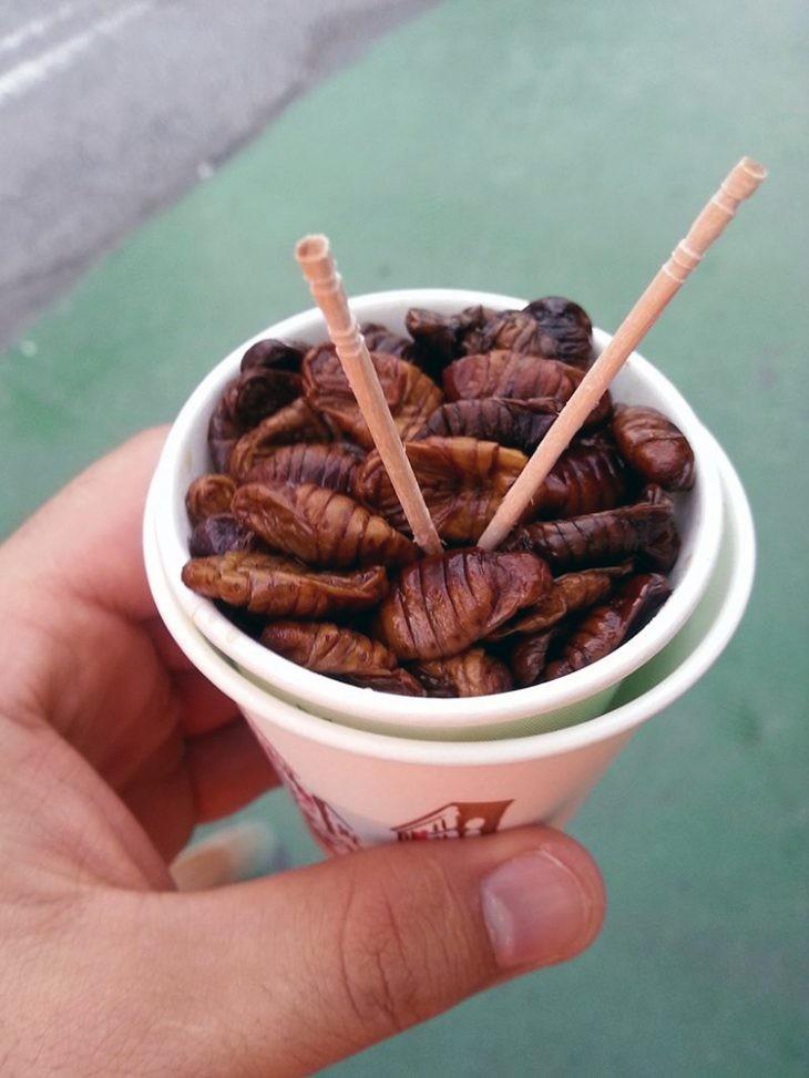 comida insectos asia