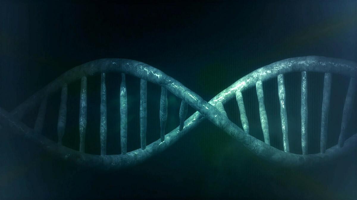 virus en el ADN