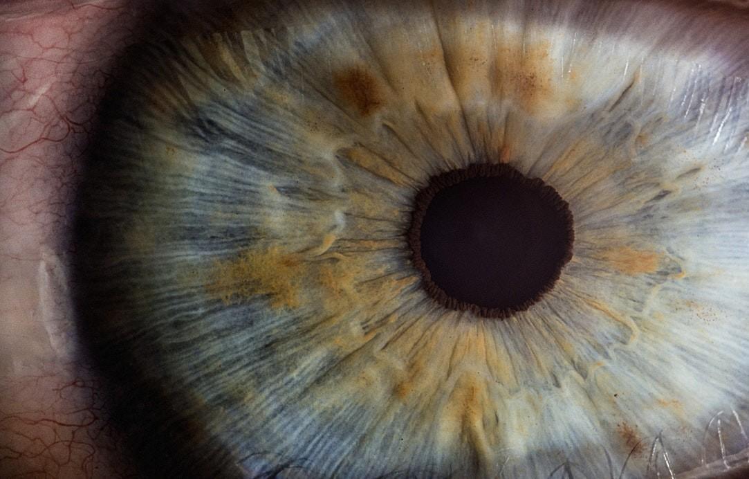 identificador biometrico ojos