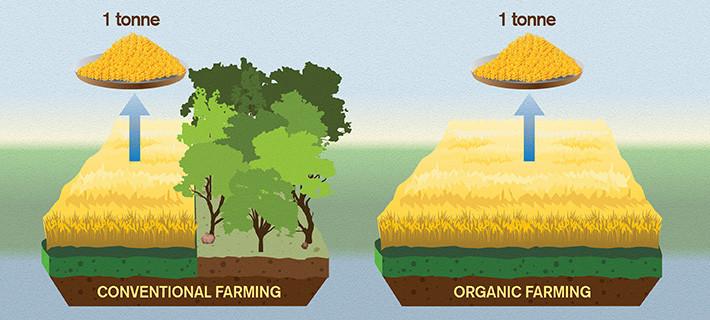 agricultura-ecologica-y-cambio-climatico-uso-del-terreno