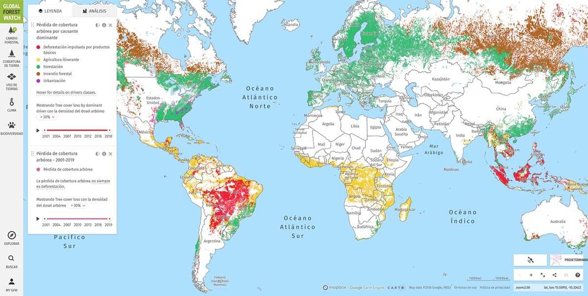 cómo usar Global Forest Watch