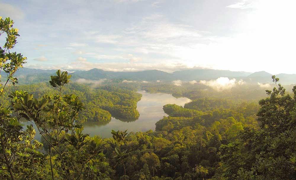 las selvas tropicales son claves para la biodiversidad
