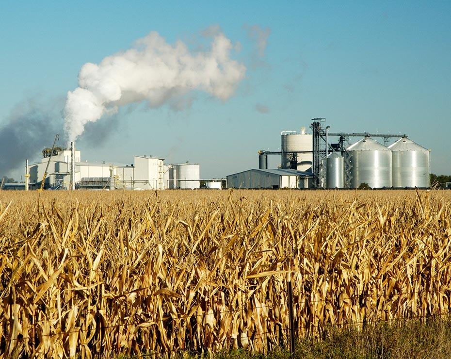 campo de cultivo para la producción de etanol junto a planta química