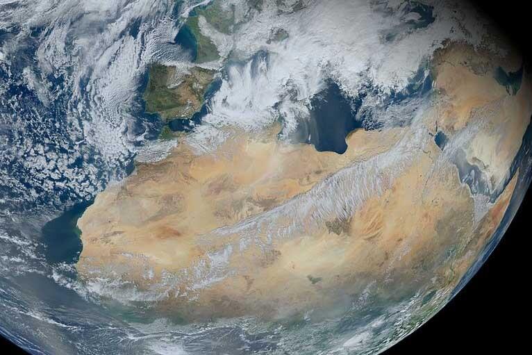 Los árboles del Sáhara no se percibían en imágenes satelitales.