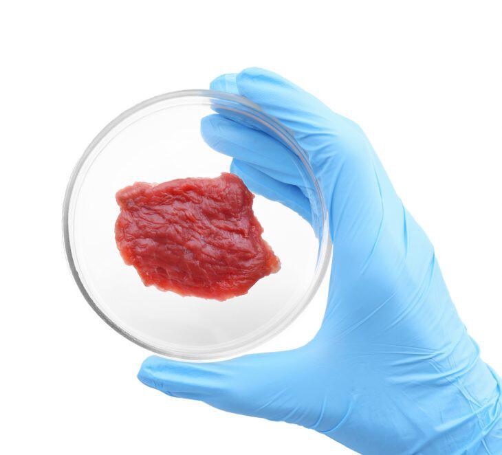¿Es factible producir carne de laboratorio en masa?